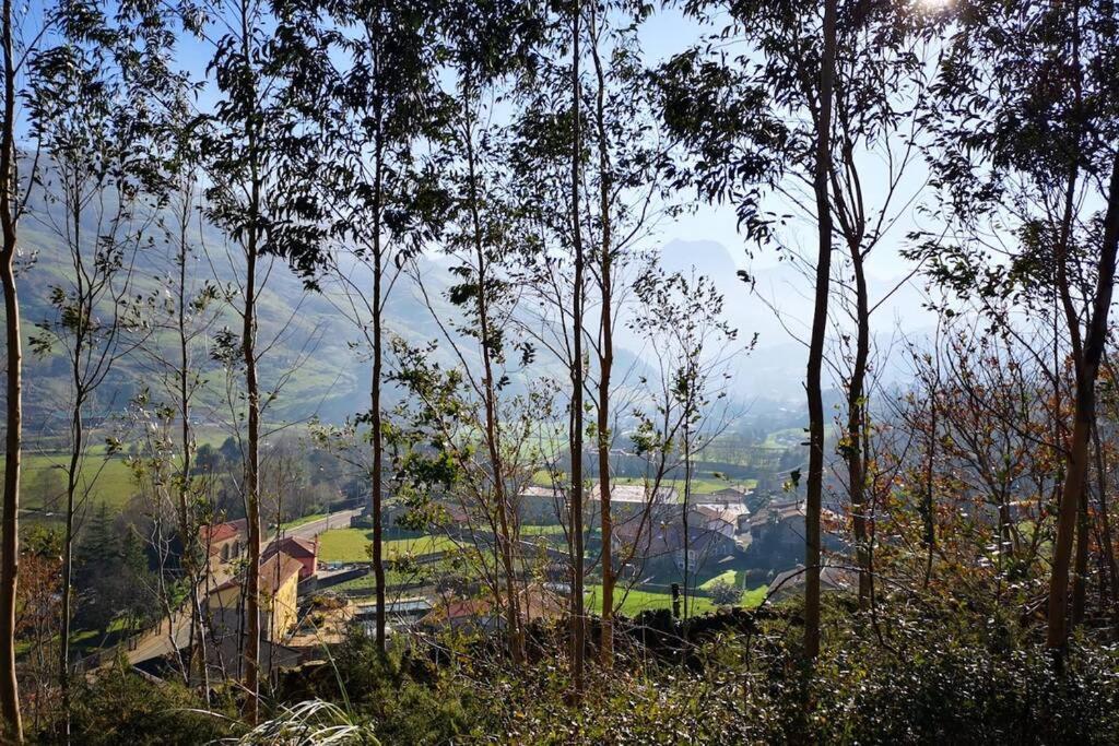 Mugidos Lejanos Villa La Vega  Kültér fotó